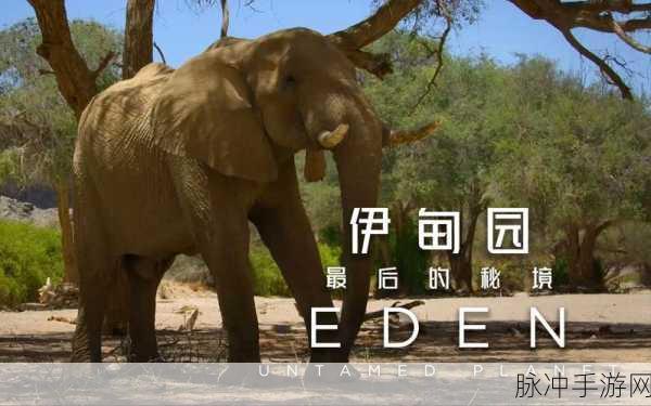 大象伊甸传媒有限公司：拓展大象伊甸传媒有限公司：创新视角开启传播新纪元