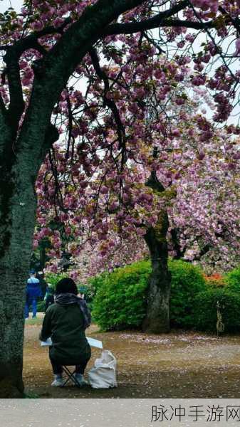 漾出flower樱花有翻译黄：花海绽放樱花芬芳，迎春绿意盎然新景象