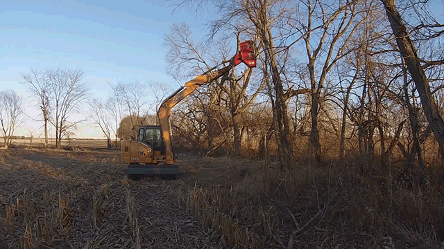 包养行情：全面解析当前包养市场行情与趋势动态