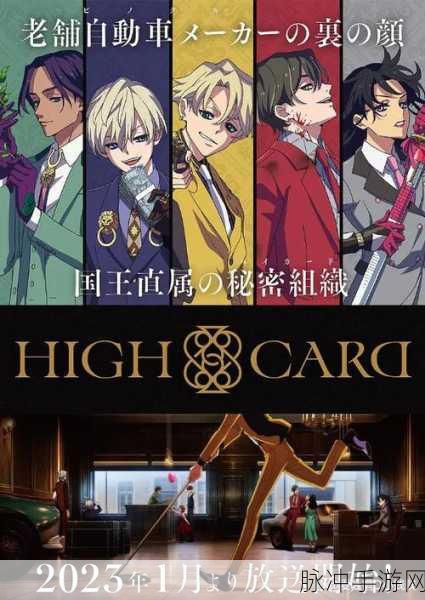 半夜打扑克：深夜热战扑克：友谊与智慧的较量之夜