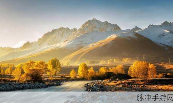 Www天堂网2014。Com：探访Www天堂网2014：探索网络世界的无限可能与精彩内容