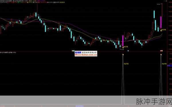 欧米伽红宝石金手指代码：拓展欧米伽红宝石金手指代码的全面解析与应用探索