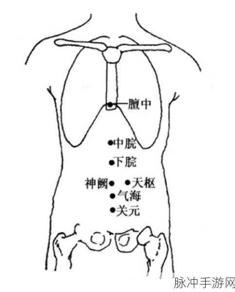 小洞饿了想吃大肠的解决方法及解决方案图解：小洞饿了想吃大肠的多种解决方案及图解指南