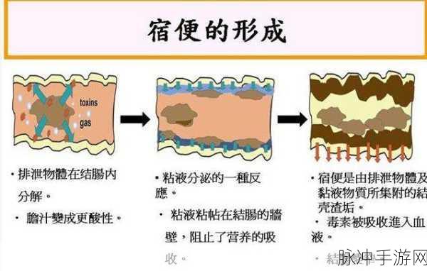 小洞饿了想吃大肠的解决方法及解决方案图解：小洞饿了想吃大肠的多种解决方案及图解指南