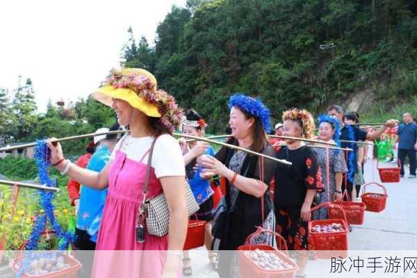 五一吃瓜今日入口：“五一假期吃瓜乐趣多，畅享美味新体验！”