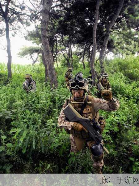 国外真人版csgo：全球范围内的真人版CS：GO：体验战术竞技的新纪元