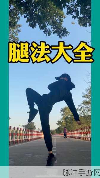 雷神腿法娴熟脚法技术：提升雷神腿法技巧，打造独特脚法绝技训练