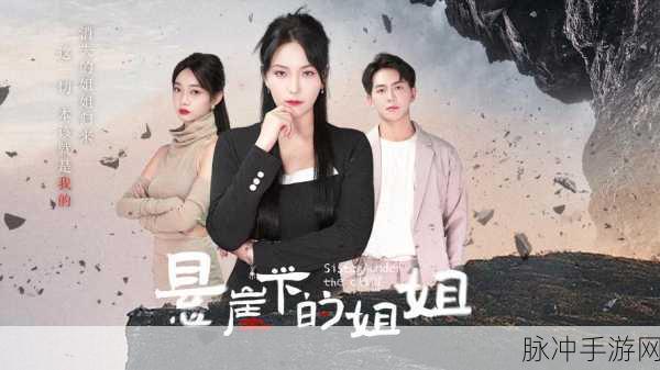 暴躁的姐姐：暴躁姐姐的幽默人生：从怒火中找乐趣