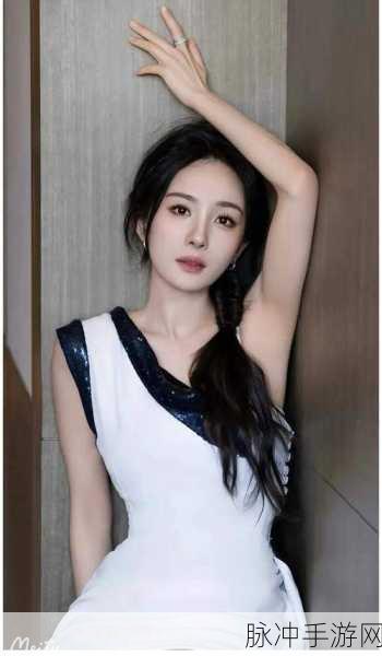 群飞杨幂：群飞杨幂：娱乐圈中的璀璨明星与她的传奇故事
