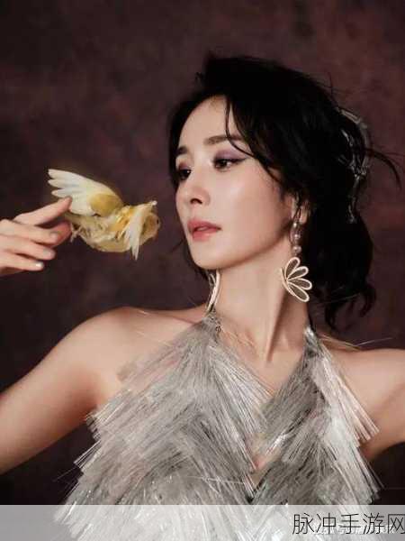 群飞杨幂：群飞杨幂：娱乐圈中的璀璨明星与她的传奇故事