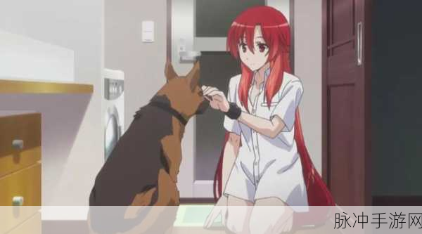 魔女的侵袭下载：魔女的侵袭：黑暗世界中的勇者崛起与挑战