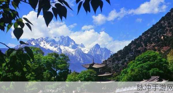 仙踪林贰佰老狼信息金属：探索仙踪林贰佰老狼的金属魅力与文化内涵