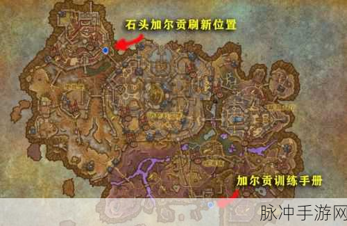 34猎人去哪里抓熊宝宝：34猎人探秘：最佳地点抓捕熊宝宝的攻略
