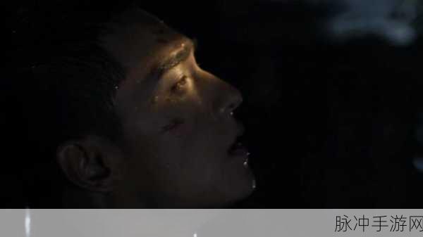 两男酿酿酱酱：两位男士的酿酒之旅：从新手到大师的成长故事