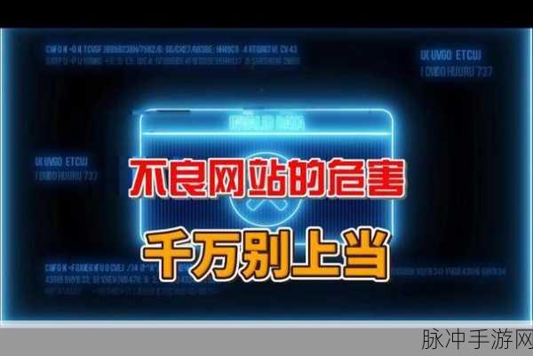 不良网站下载软件进入窗口：警惕不良网站下载软件，避免感染恶意程序的风险