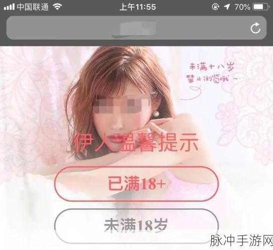 不良网站免费进入窗口：探讨如何安全访问不良网站的免费入口与风险管理策略