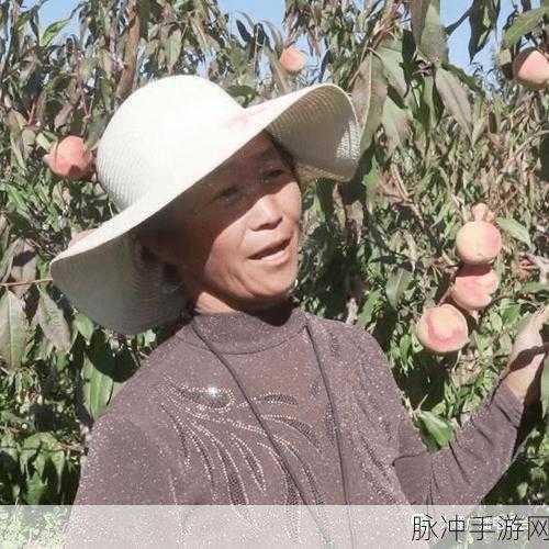 丰年经继拇中文2优惠活动美丽桃子：丰年佳果，桃香四溢——尽享2重优惠活动！