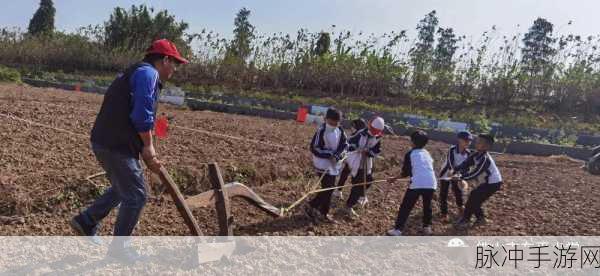 儿耕妈荒废的田：重新开垦荒废田地，助力农耕精神焕发新生