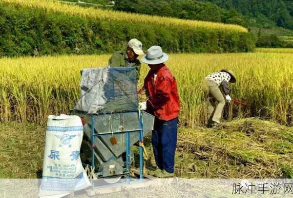 儿耕妈荒废的田：重新开垦荒废田地，助力农耕精神焕发新生