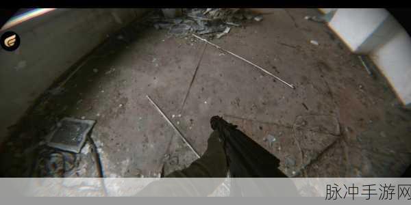 代号R：神秘代号R：揭开隐藏在黑暗中的真相