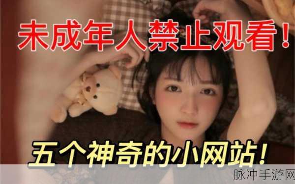 18岁以下禁看的1000部网站：未成年人禁止访问的1000个不良网站推荐及分析