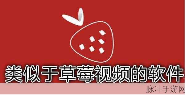 草莓视频无限次数观看：畅享草莓视频，无限次数观看新体验！