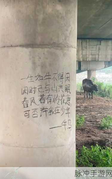 太久回家不迷路：记住回家的路，让心灵不再迷失方向