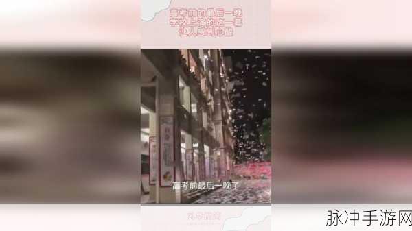 八卦有理爆料无罪红领巾瓜报：八卦有理：揭秘红领巾背后的那些瓜和爆料