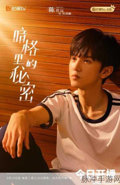 yp163coc永不失联免费：探索yp163coc永不失联的秘密与免费资源分享