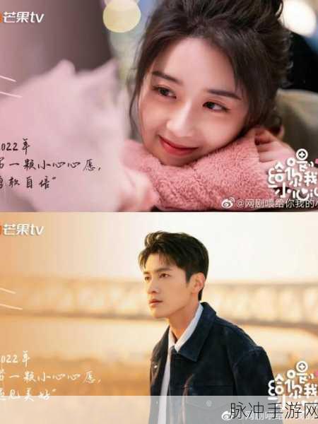 苏家有女1v5：苏家有女：五位追求者的爱情争夺战