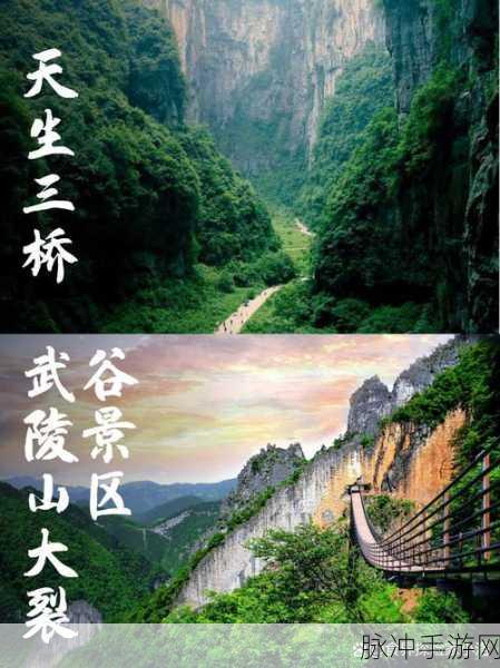 亚洲一区男男一卡：亚洲一区男男一卡：探索多元文化与情感的交汇点