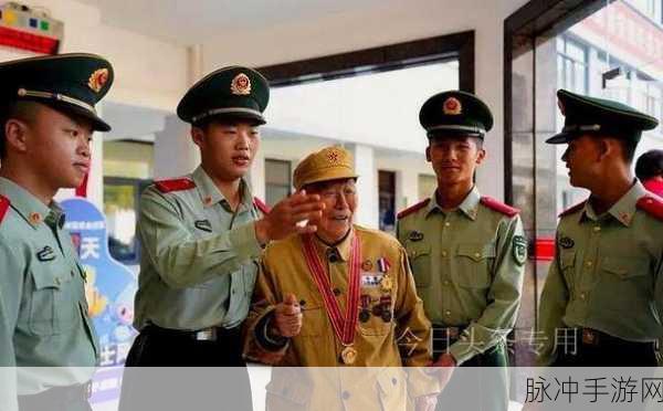 南方老兵召回：南方老兵光辉再现：召回情怀与使命重燃之路