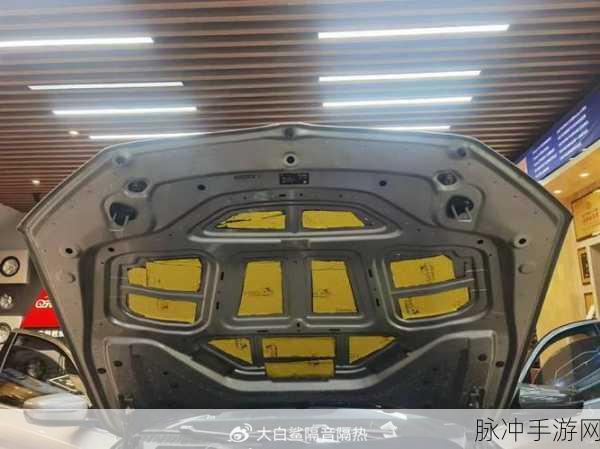 x7x7x7x7任意噪2024108：探讨2024108年任意噪声对系统性能的影响及其解决方案