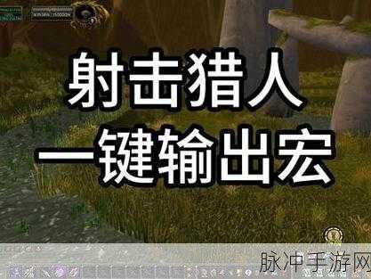魔兽世界80级猎人生存一键输出宏：全面提升《魔兽世界》80级猎人生存职业的一键输出宏解析与优化技巧