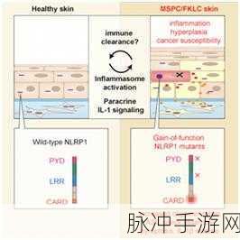 LRP1毕业：“探索LRP1在细胞信号传导中的新角色与应用”