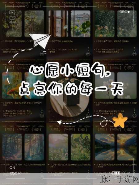 上面一个日下面一个我的字是啥：日落时分我心中的梦想与希望交织绽放