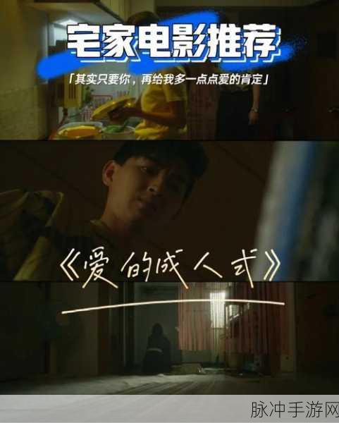 18成人网站：探索成人世界的隐秘乐趣与激情体验之旅