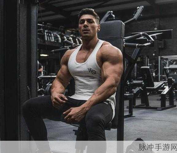 肌肌桶肌肌：如何有效拓展肌肉线条与塑造完美身材