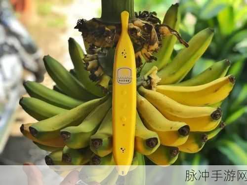 香蕉视频台湾swag：探索香蕉视频台湾的潮流文化与独特魅力！