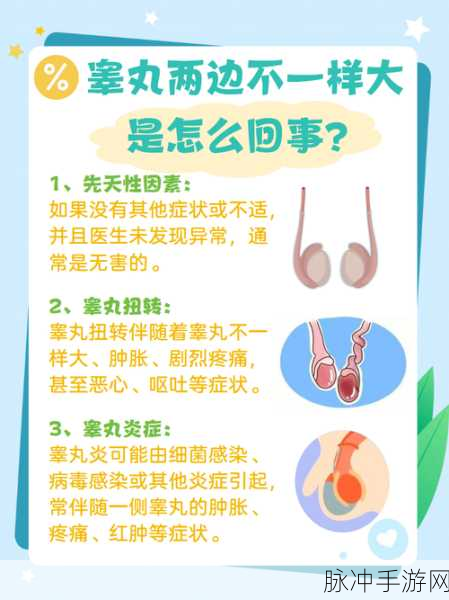 小孩半夜被女孩吃睾丸正常吗：关于小孩半夜被女孩吃睾丸的现象探讨与分析
