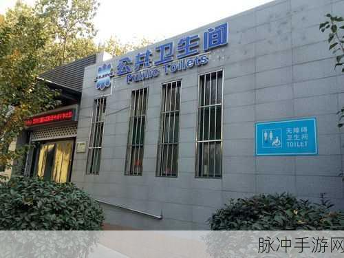 我是篮球队公共公厕：篮球队的公共厕所建设与管理方案探讨