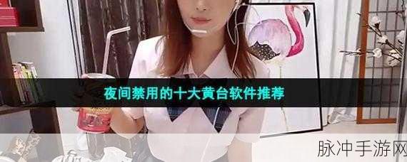 晚上十大禁用软件黄台：解析夜间禁止使用的十大黄台软件及其影响分析