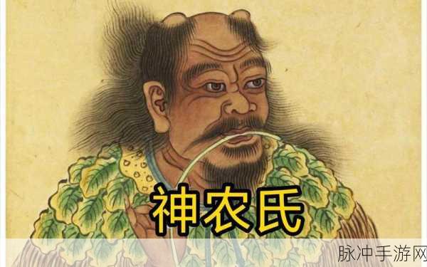 德拉诺橙戒：探索德拉诺橙戒的神秘力量与传奇故事