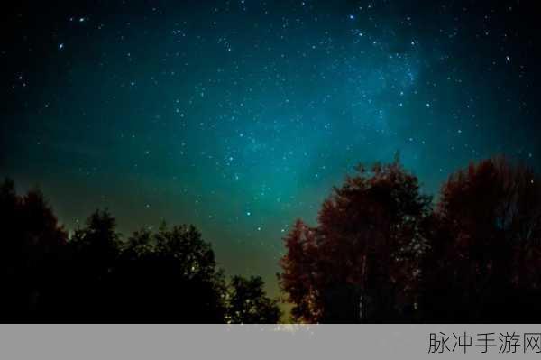 5A满天星级别的港片：夜幕下的星空，探寻五光十色的港片魅力