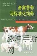 人与马畜禽corporation翻译：人与马畜禽的协作与共生关系探讨
