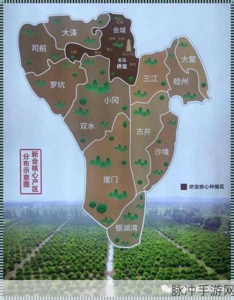 一线产区和二线产区的知名品牌是：推动一线与二线产区知名品牌的创新与发展策略