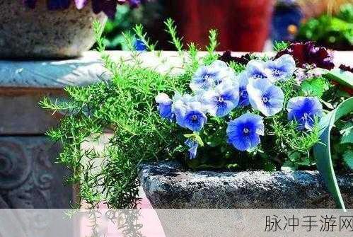 草莓视频色多多8x8x：探索草莓视频色多多8x8x，畅享无限精彩与乐趣！