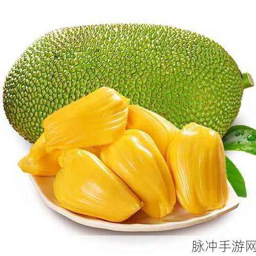 日产精品一区三区二区菠萝蜜：探索日产精品一区三区二区菠萝蜜的独特魅力与美味体验