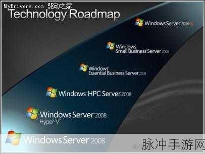 日本Windows Server中文支持：提升日本Windows Server对中文语言的全面支持与应用