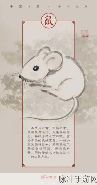 忙忙碌碌猜准确生肖：在繁忙生活中灵动猜测生肖的趣味探索